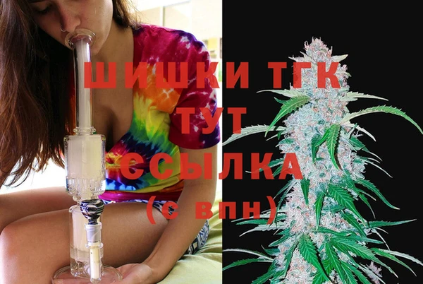 твердый Снежногорск
