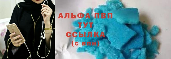 PSILOCYBIN Беломорск