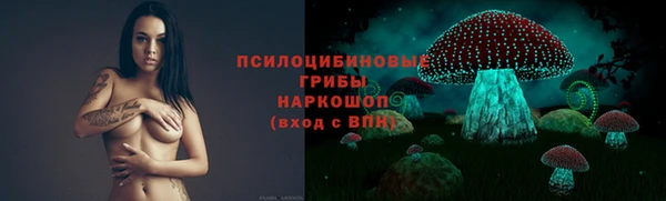 спайс Богородск