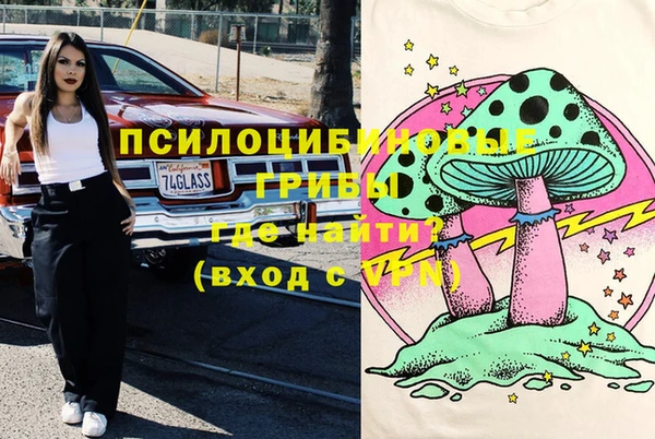 шишки Богородицк