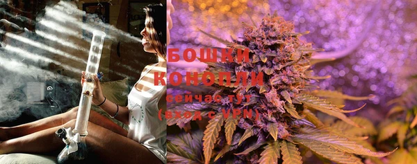 шишки Богородицк
