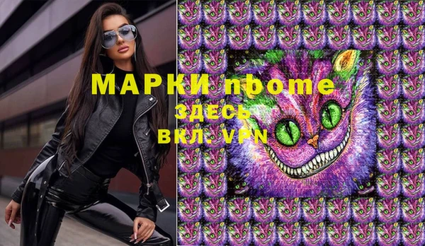 твердый Снежногорск