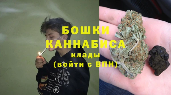 гидра Сосновый Бор
